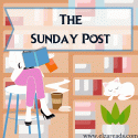 The Sunday Post #41