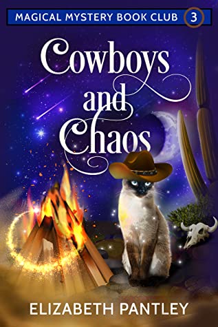 Blog Tour, Review & Character Interview: Cowboys and Chaos by Elizabeth Pantley