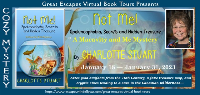Blog Tour: Not Me! by Charlotte Stuart
